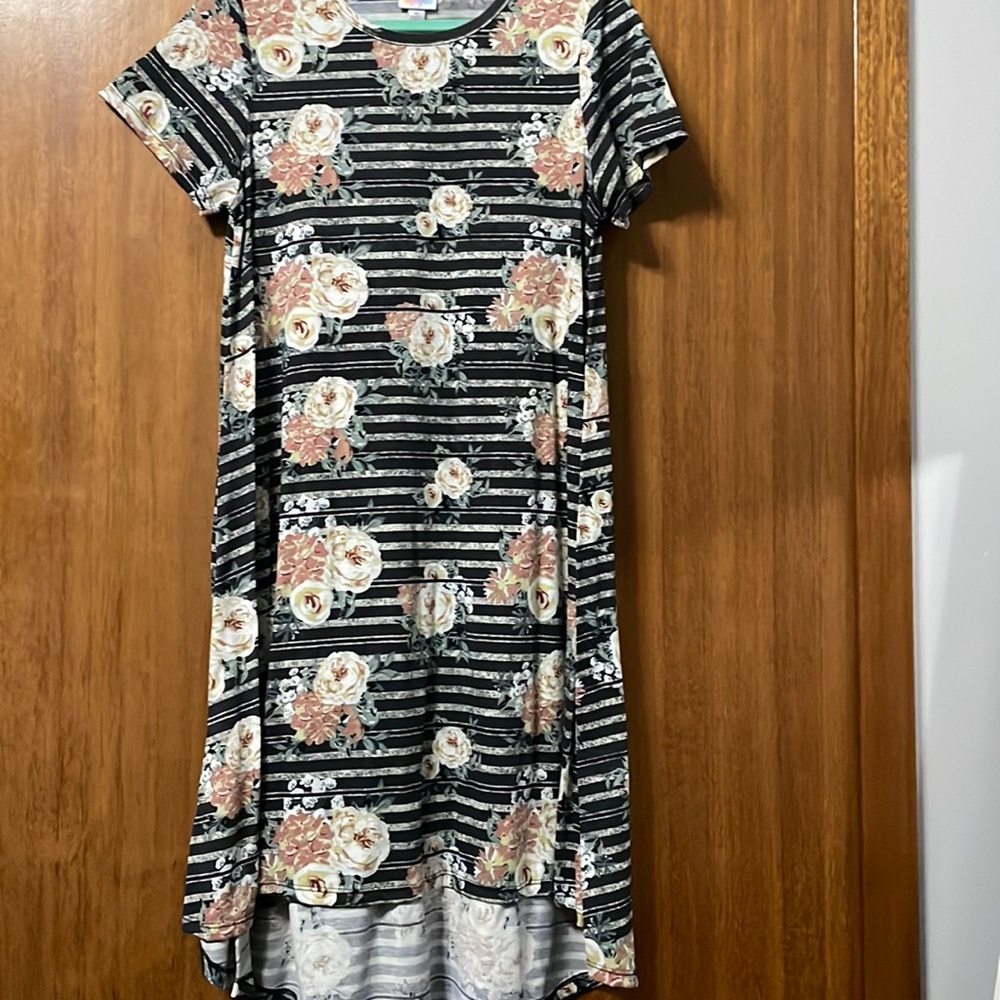 EUC LuLaRoe Carly swing dress